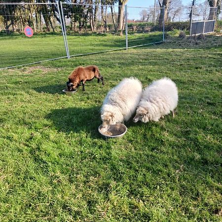 TréguierLa Ferme Stanczakアパートメント エクステリア 写真